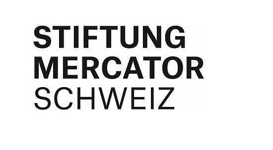 Logo Stiftung Mercator