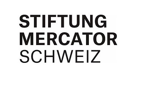 Logo Stiftung Mercator